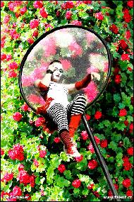 Petr Scheuer - Mýdlová víla