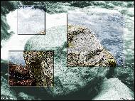 Petr Scheuer - Detaily